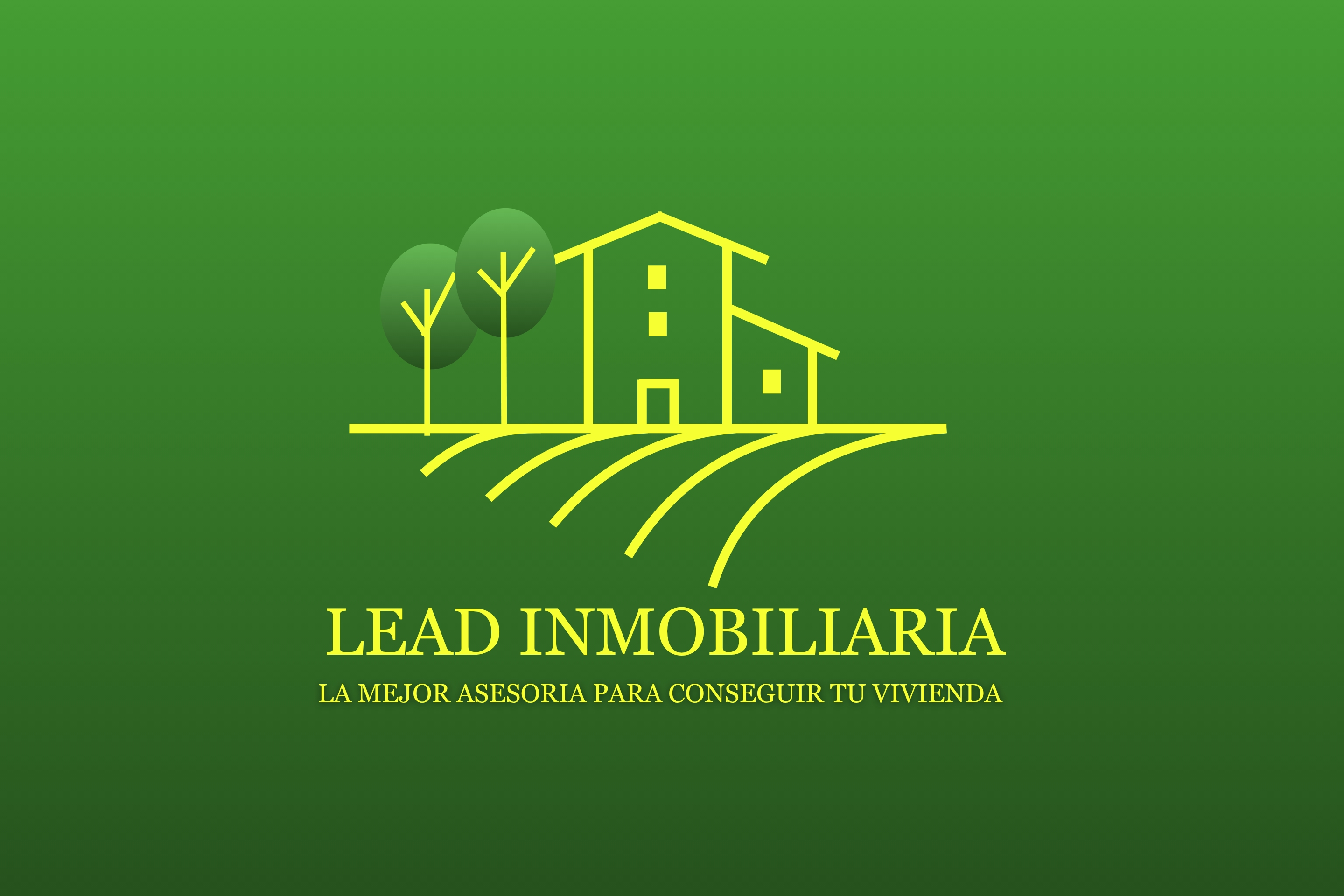 LEAD Inmobiliaria